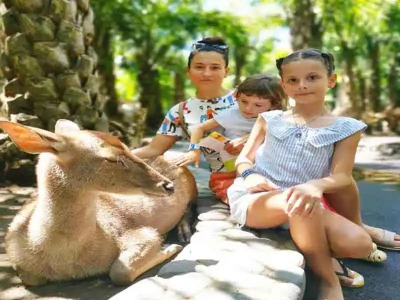 zoo admission